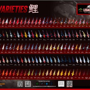 Legacy koi varity poster